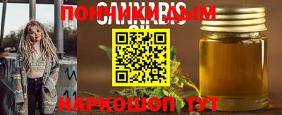 индика Новозыбков