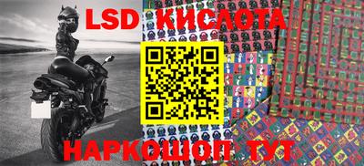 индика Новозыбков