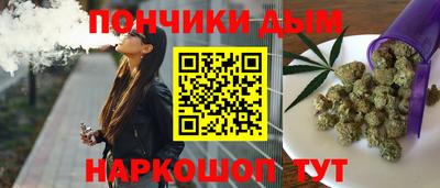 индика Новозыбков
