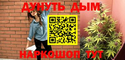 индика Новозыбков