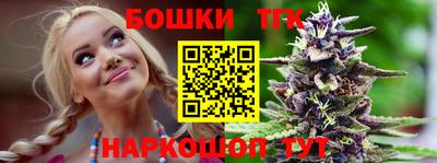 индика Новозыбков