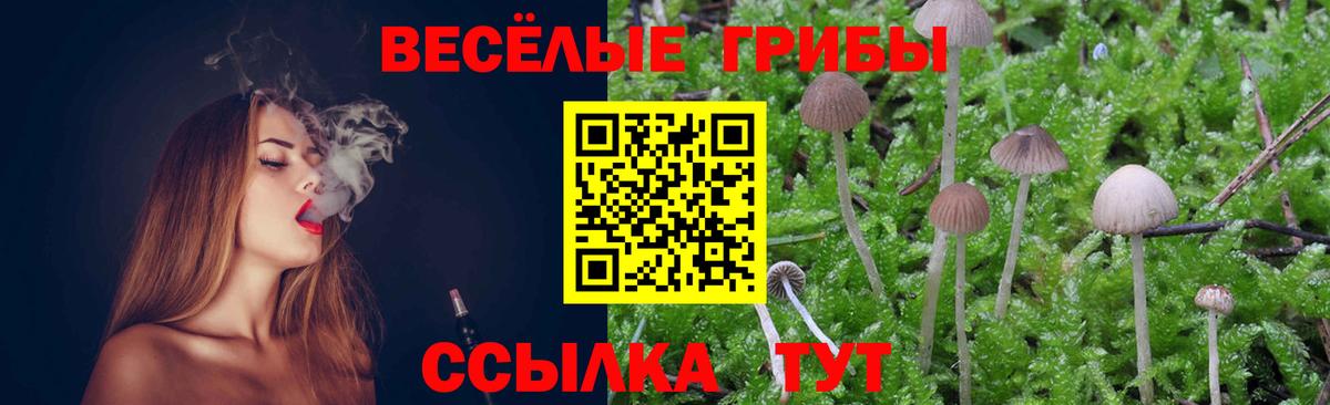 цены   Вход с VPN  Славянск-на-Кубани  Псилоцибиновые грибы мицелий 